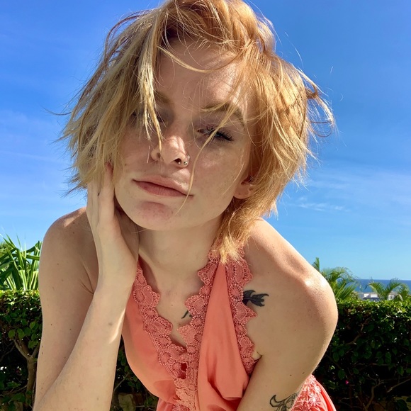 Meet your Posher, Sammie - Picture 1 of 1